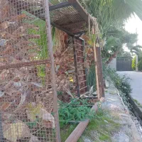 اتاق مزدا ۱۶۰۰