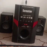 باند سناتور سالم‌