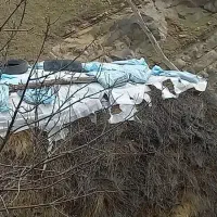 علوفه فروشی|عمده‌فروشی|اردبیل, |دیوار