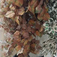 درختچه مصنوعی با گلدان  سرامیکی و بدون ان|گل مصنوعی|شیراز, تپه تلویزیون|دیوار