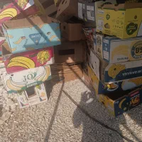 کارتن موزی نو