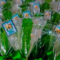 کار در منزل(بسته‌بندی نبات)