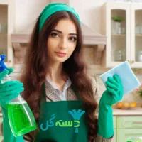 نظافت منزل به صورت صفرتاصد تضمینی