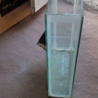 اکواریوم|ماهی|قوچان, |دیوار