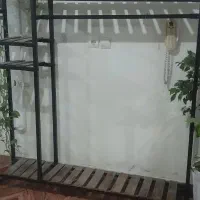 رگال
