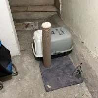 وسایل گربه