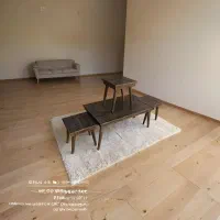 آینه دنیسا|آینه|کرمانشاه, |دیوار