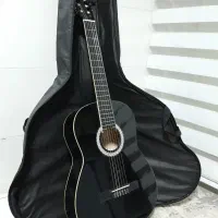 گیتار آلمانی