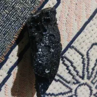 شهاب سنگ فروشی