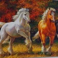 تابلو. میز تلویزیون . گهواره. میز جلو مبلی سنگی|تابلو، نقاشی، عکس|سنندج, |دیوار