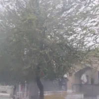 مغازه اجاره ای