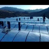 ایزوگام عمده و جزئی درکل استان بوشهر پذیرفته میشود|خدمات پیشه و مهارت|دلوار, |دیوار