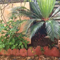 پونک85مترهمکف50مترزیر-همکف-کلیه-مشاغل