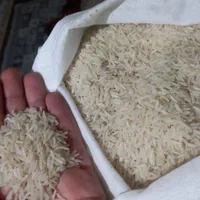 برنج محصول شمال طارم هاشمی پخش از تهران|خوردنی و آشامیدنی|تهران, فلاح|دیوار
