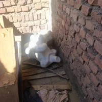 مانکن|فروشگاه و مغازه|نهبندان, |دیوار