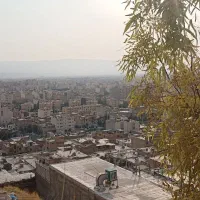 زمین-فروشی-ریاستی