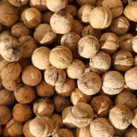 گردو دماوند چرب و خوش مغز|خوردنی و آشامیدنی|فیروزکوه, |دیوار