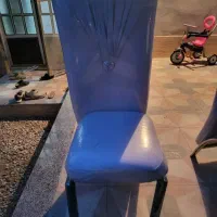 صندلی مخصوص تالار|میز و صندلی غذاخوری|شیراز, نیستان|دیوار