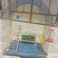 قفس بزرگ پرنده