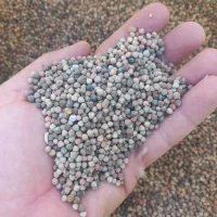 گاودانه|لوازم جانبی حیوانات|ایلام, |دیوار