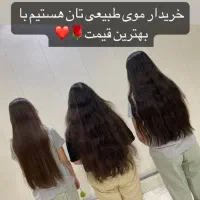 خریدار اصلی موهای بانوان۵۰سانت به بالا