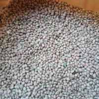 لوبیا|عمدهفروشی|دره شهر, |دیوار