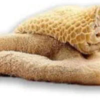 سیرابی عمده گاوی