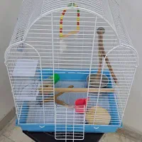 قفس پرنده
