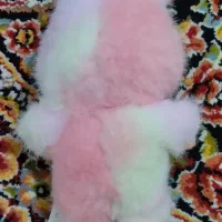 لبوبو مدل انرژی|اسباب‌‌بازی|اشتهارد, |دیوار