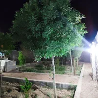 چهار دیواری ۸۰۰ متری روستای تمیارت|فروش دفتر صنعتی، کشاورزی، تجاری|اصفهان, براآن شمالی|دیوار