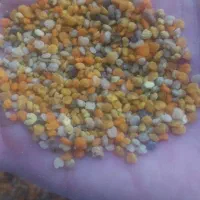فروش گرده گل