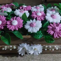 گل شمع وربان