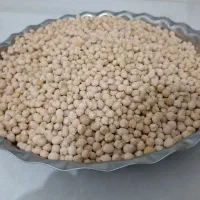 نخود محلی