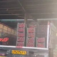 گوجه ملون هندوانه و صیفی جات و مرکبات