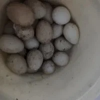 خوردن و آشامیدن