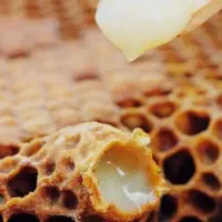 ژل رویال (شاه انگبین)