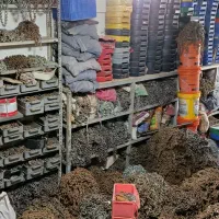 زنجیر چرخ|قطعات یدکی و لوازم جانبی|تهران, گمرک|دیوار