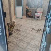 خونه-فروشی-به-علت-مهاجرت