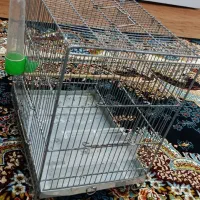 قفس|لوازم جانبی حیوانات|همدان, |دیوار