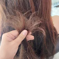 تخفیف موخوره گیری|خدمات آرایشگری و زیبایی|مبارکه, |دیوار