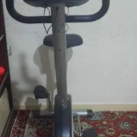 دوچرخه ثابت بادی اسکالپچر|تجهیزات ورزشی|پردیس, فاز ۲|دیوار