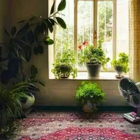 اجاره-زیر-زمین