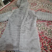 پالتوپشمی|لباس|شاهینشهر, حافظ شمالی|دیوار