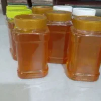 عسل نبات سالم و تمیز