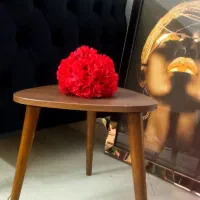 عسلی جلومبلی  (۳ میز کوچیک ۱ میز بزرگ)قیمت  ۱۶۰۰