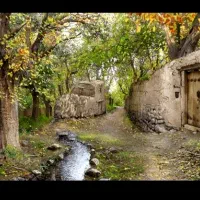 کوچه باغ برای بافت تابلوفرش دستباف|تابلو فرش|تهران, شهرک شریعتی|دیوار