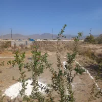 زمین واسه باغ ویلا|فروش دفتر صنعتی، کشاورزی، تجاری|کاشمر, |دیوار