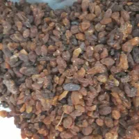 کشمش خشک خشک گوشت دار