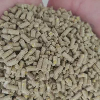 خوراک مرغ دانه پلت عالی