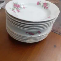 گل سرخی